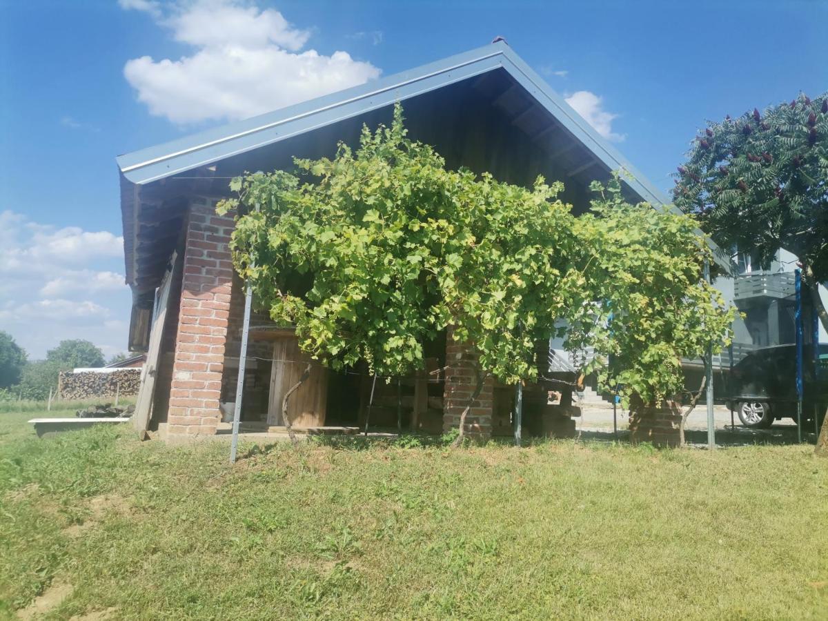 Apartman Sipa Bjelovar Exterior photo